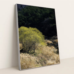 7090357338147 - Product Image