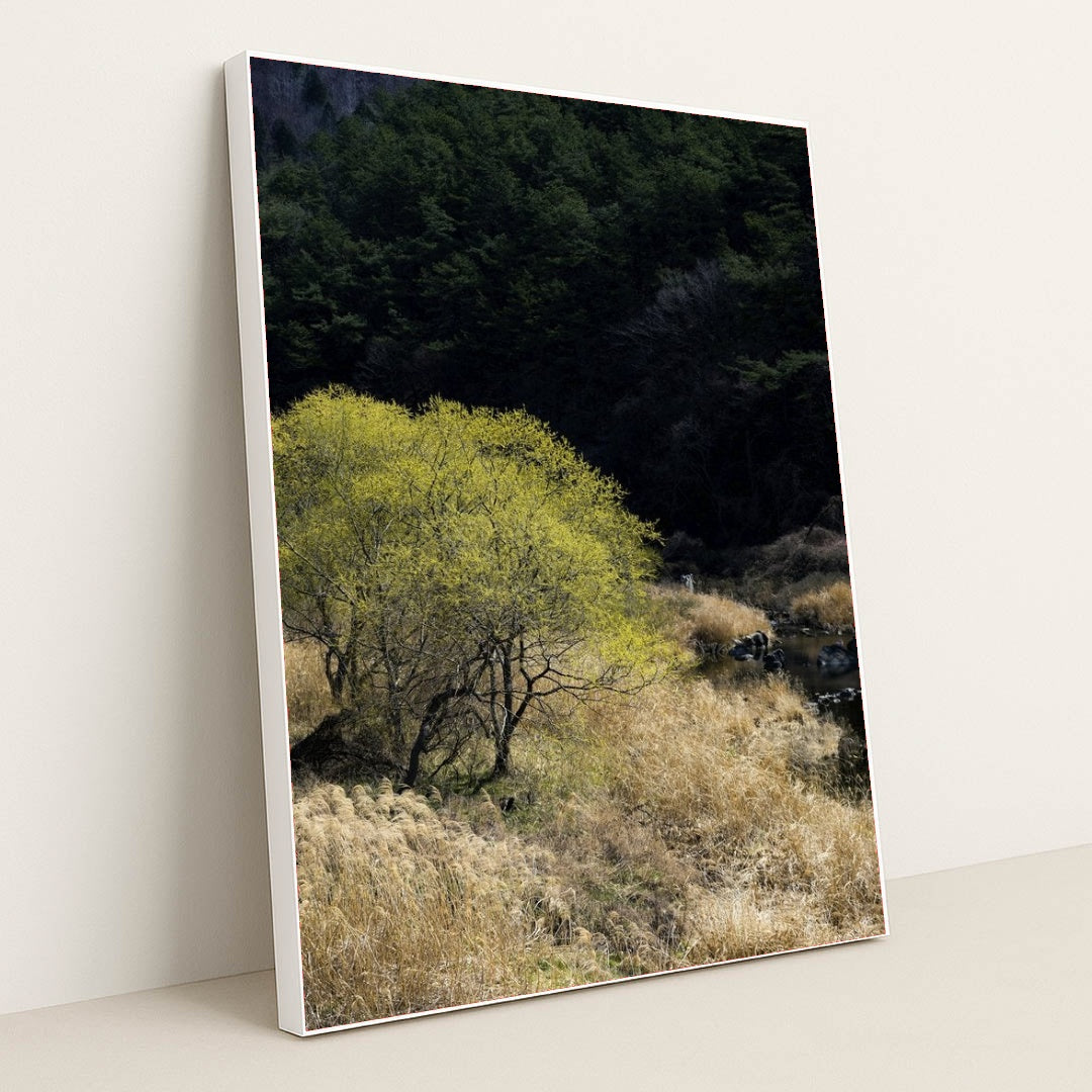 7090357338147 - Product Image