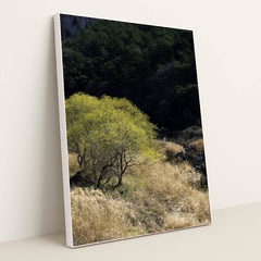 7090357338147 - Product Image