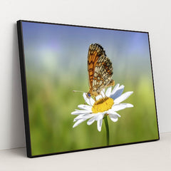 7090292129827 - Product Image