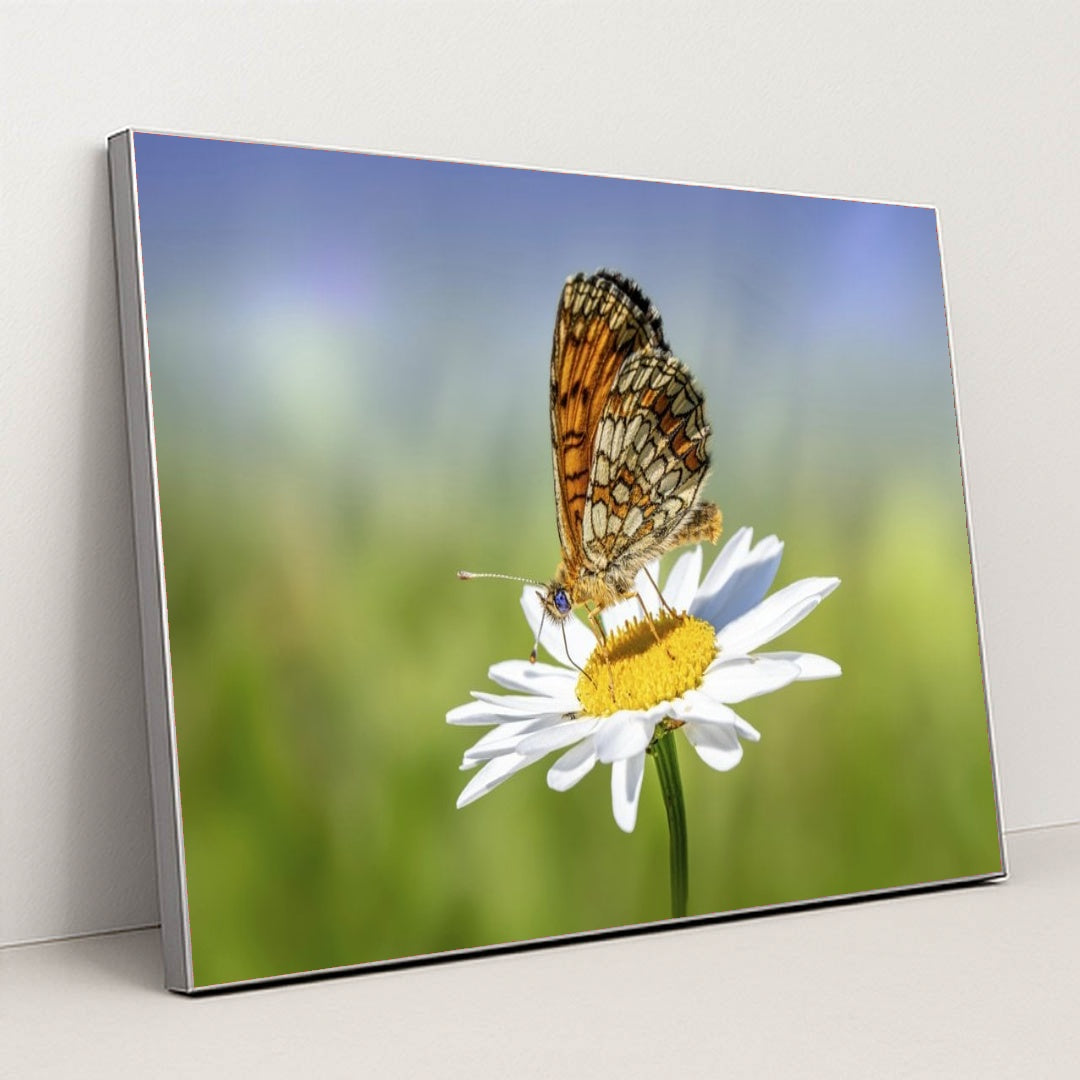 7090292129827 - Product Image