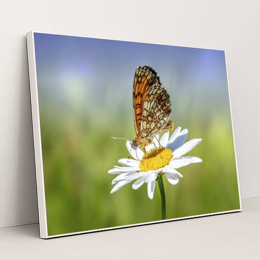 7090292129827 - Product Image