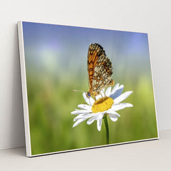 7090292129827 - Product Image