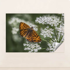 7090295144483 - Product Image