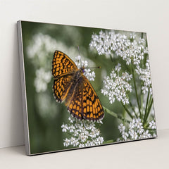 7090295144483 - Product Image