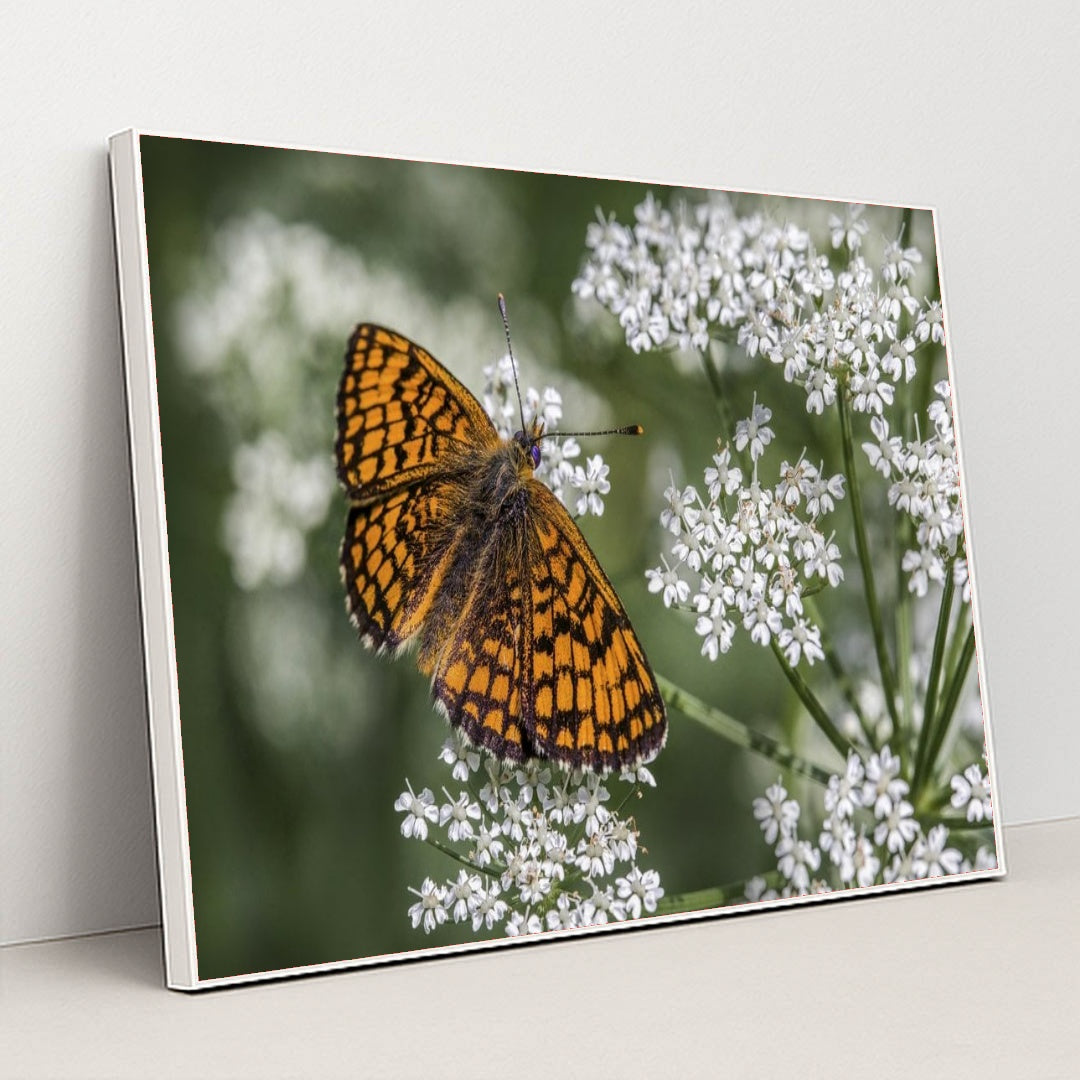 7090295144483 - Product Image