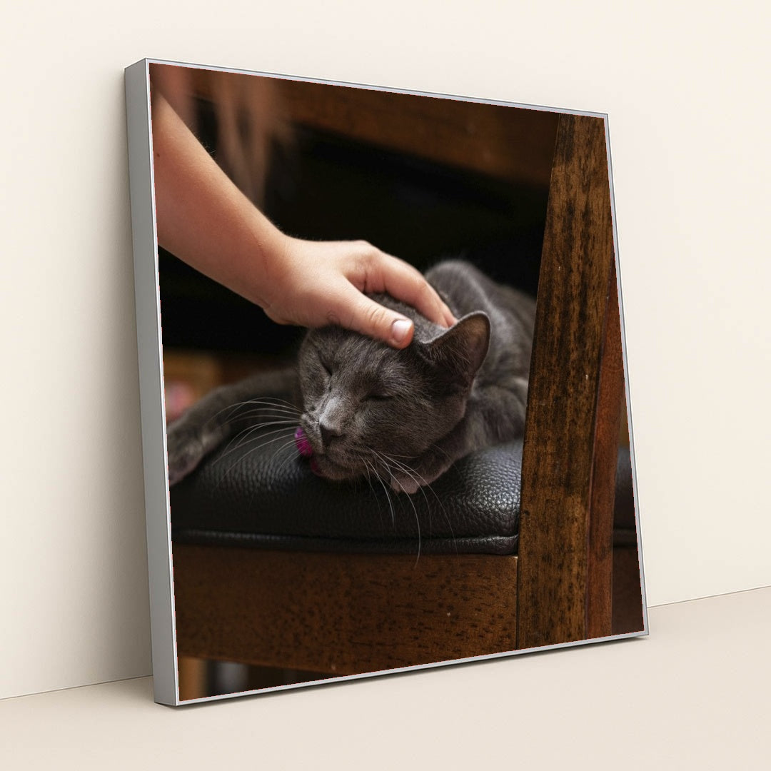 7090691178531 - Product Image