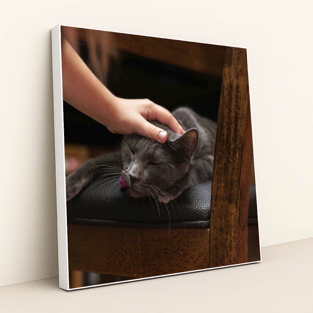 7090691178531 - Product Image