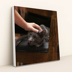 7090691178531 - Product Image