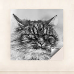 7090342592547 - Product Image