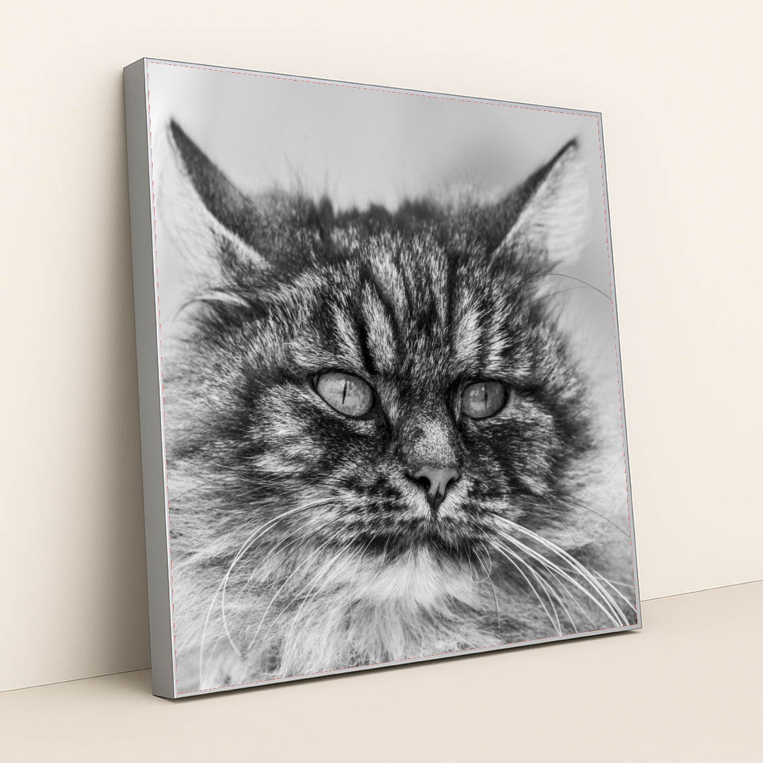 7090342592547 - Product Image