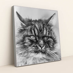 7090342592547 - Product Image