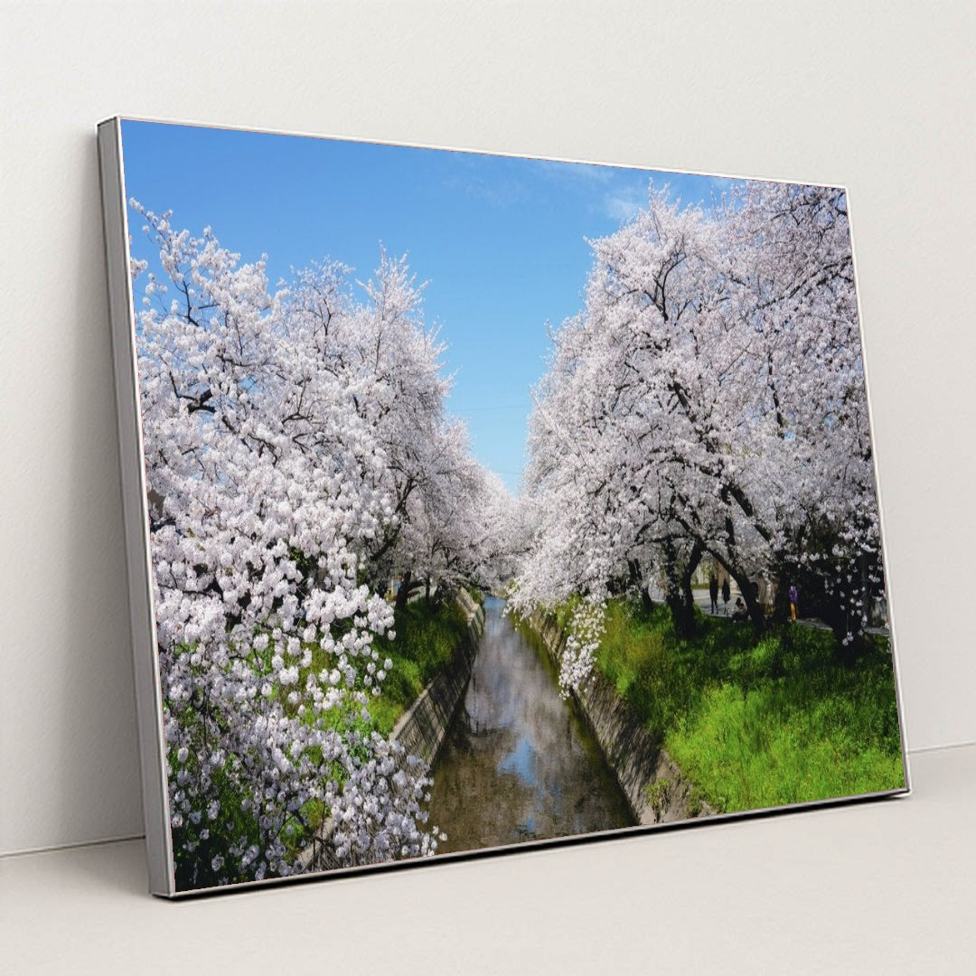 7090257887267 - Product Image