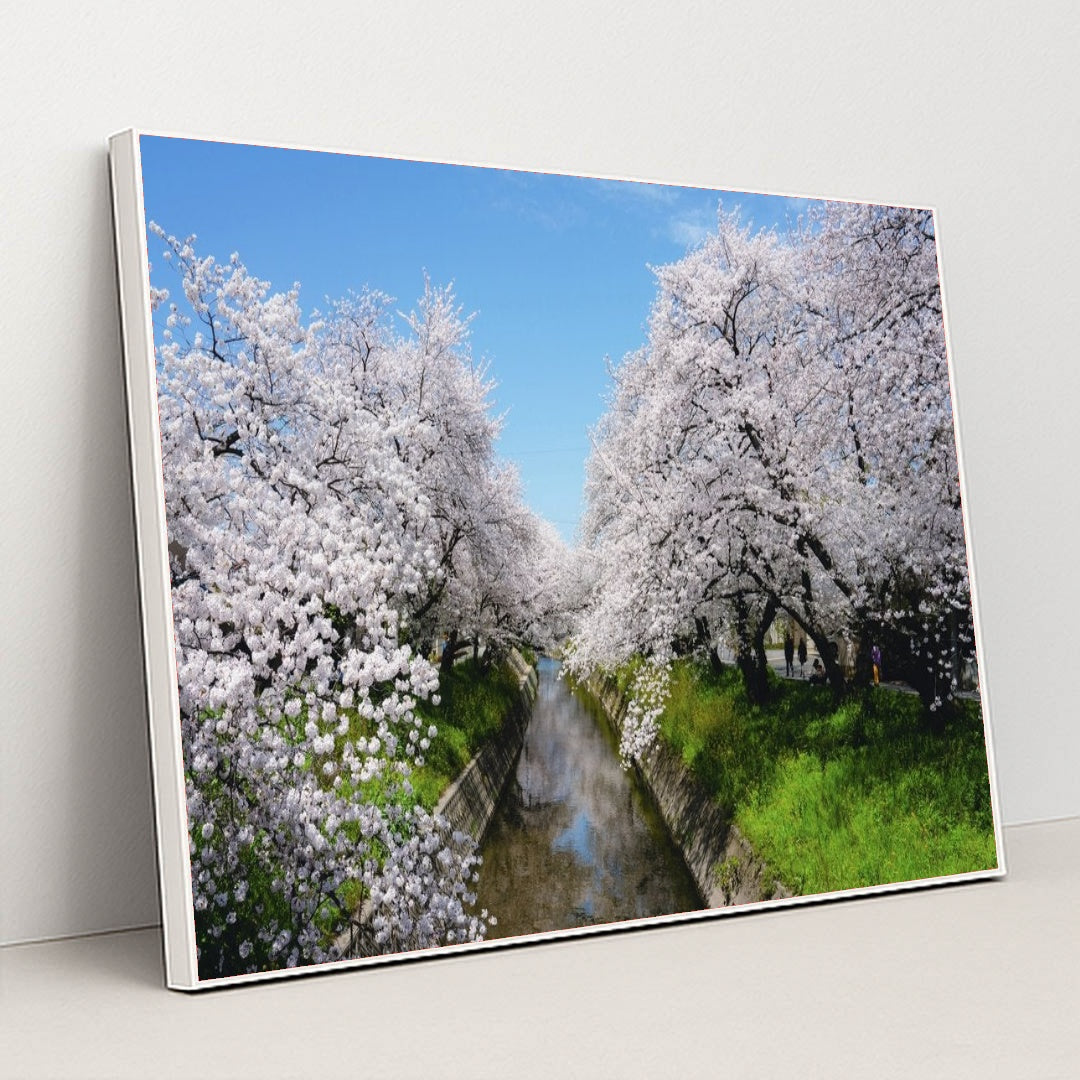 7090257887267 - Product Image