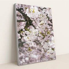 7090345705507 - Product Image