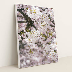 7090345705507 - Product Image