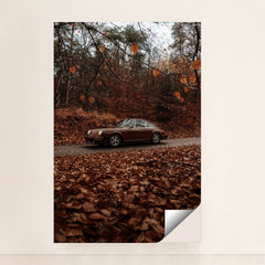 This photo shows a brown classic Porsche 911 coupe parked on a road surrounded by autumn leaves in a forest, minimalist unframed style.