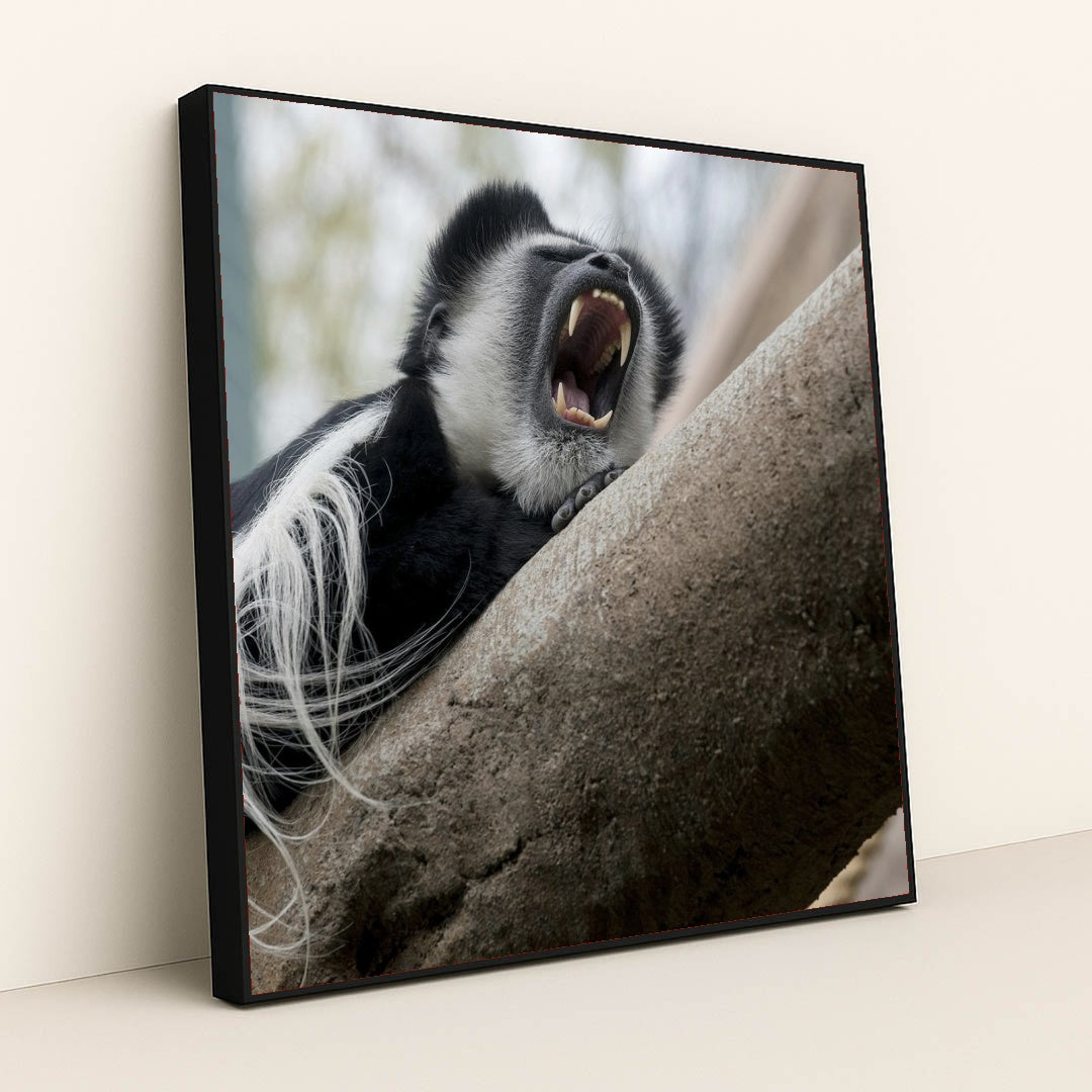 7090336399395 - Product Image