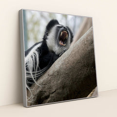 7090336399395 - Product Image