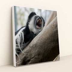 7090336399395 - Product Image