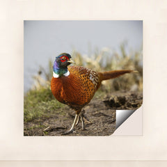 7090328862755 - Product Image