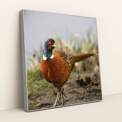 7090328862755 - Product Image