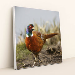 7090328862755 - Product Image