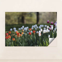 7090358419491 - Product Image