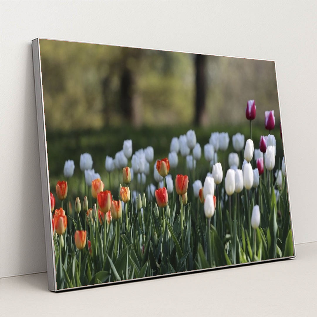 7090358419491 - Product Image