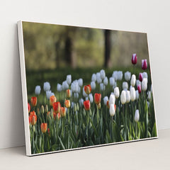 7090358419491 - Product Image