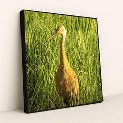 7090292228131 - Product Image