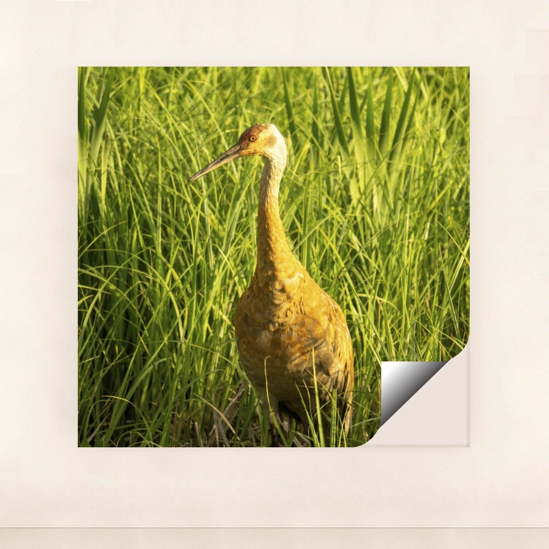 7090292228131 - Product Image