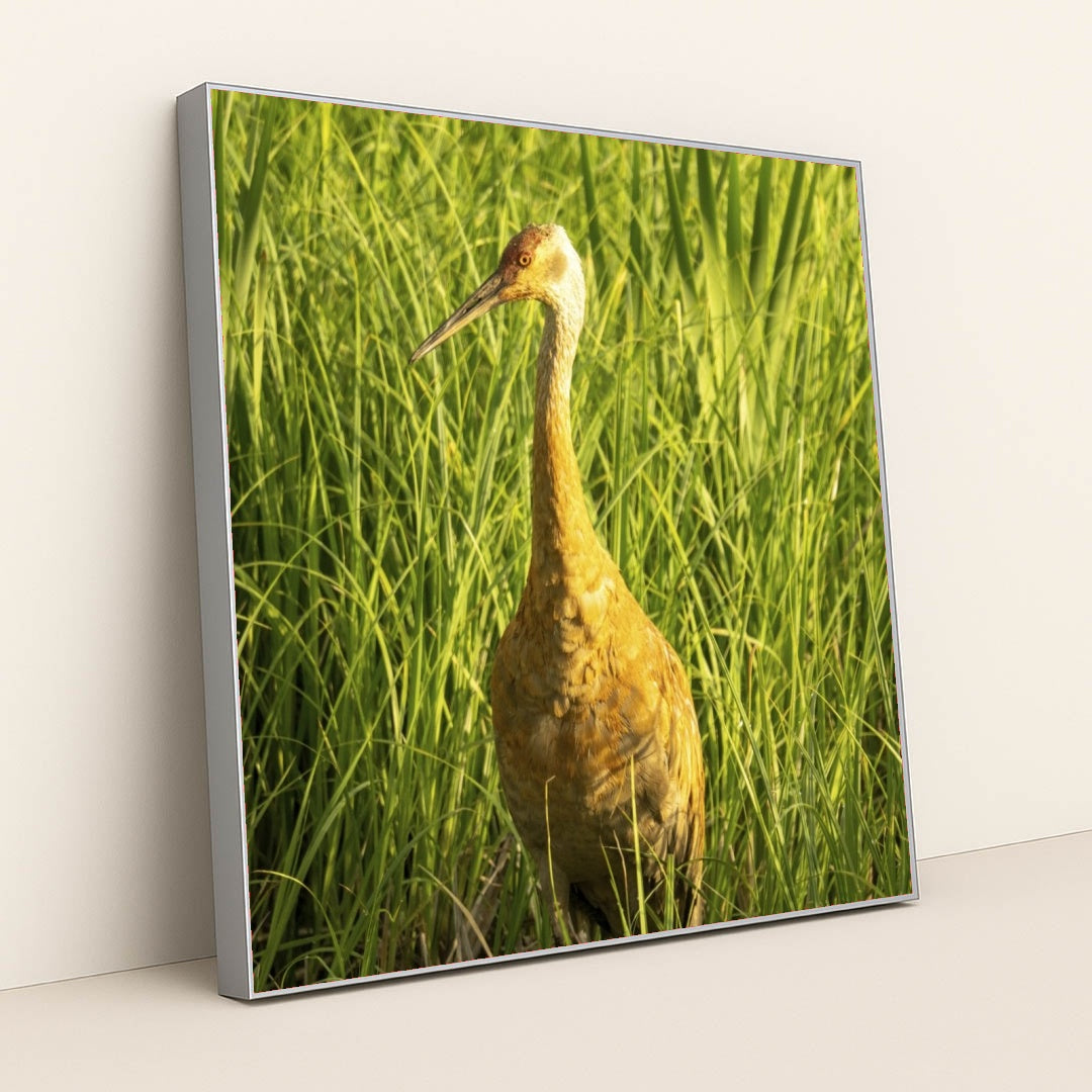 7090292228131 - Product Image