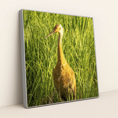 7090292228131 - Product Image