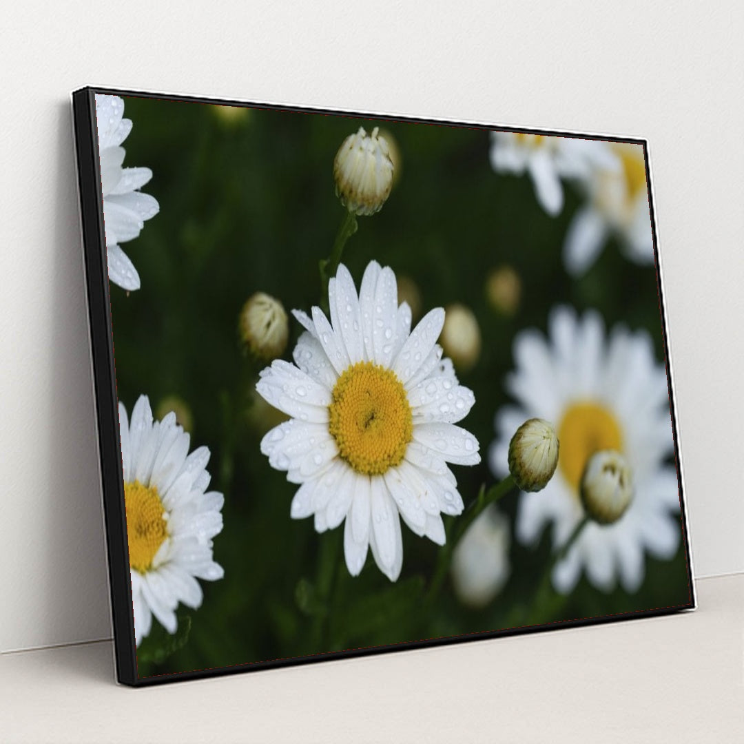 7090297765923 - Product Image