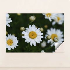 7090297765923 - Product Image