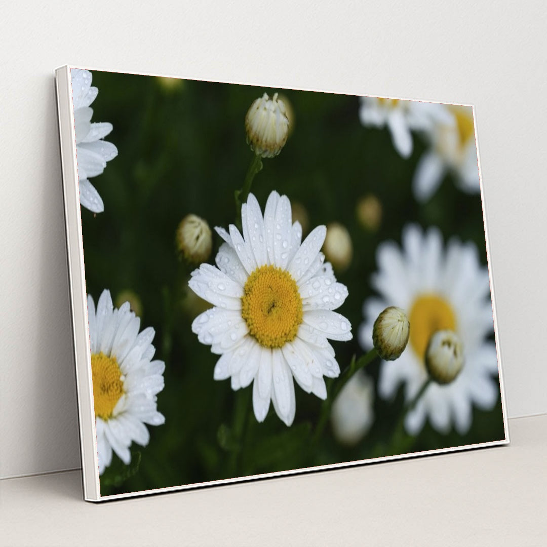 7090297765923 - Product Image