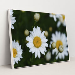 7090297765923 - Product Image