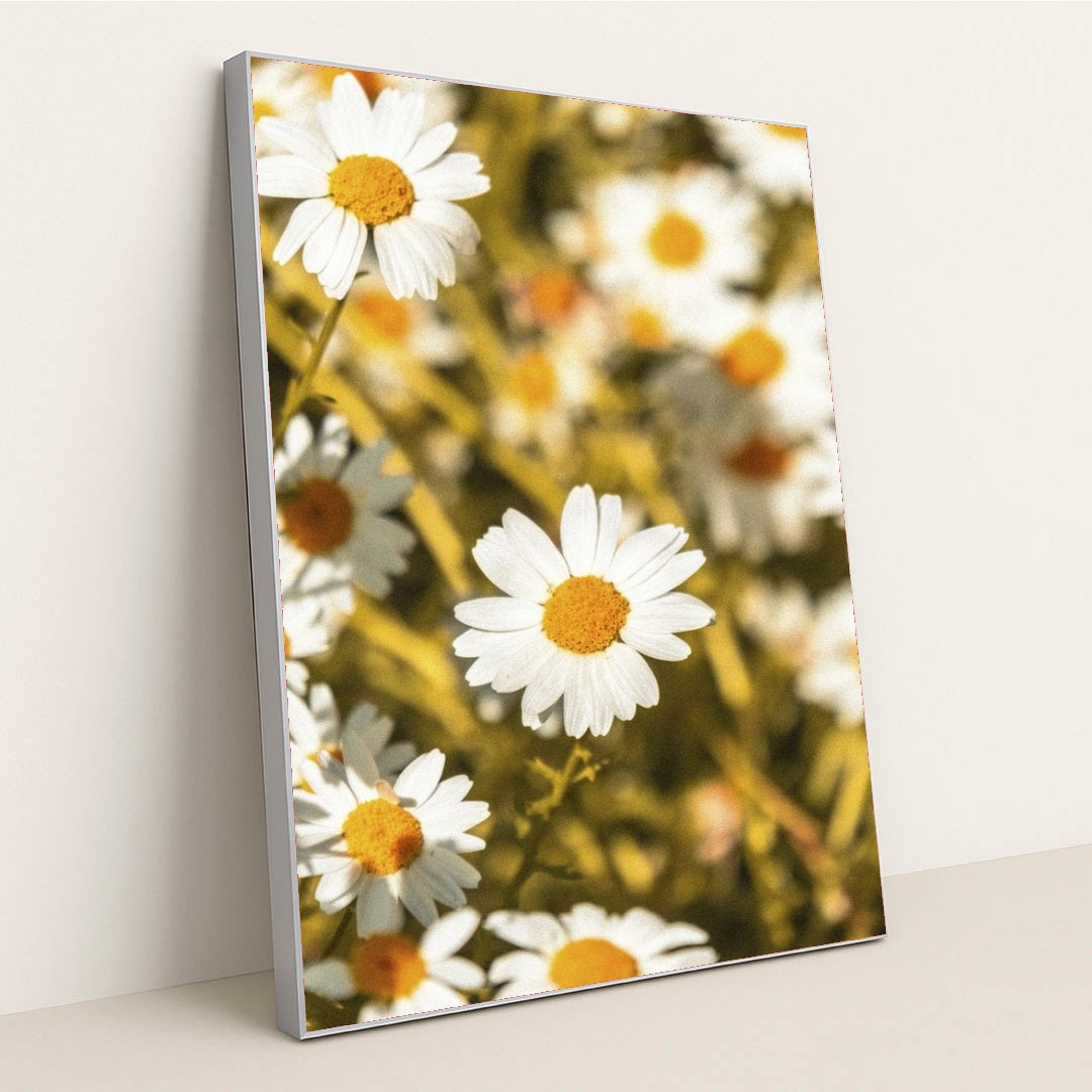 7090234196003 - Product Image