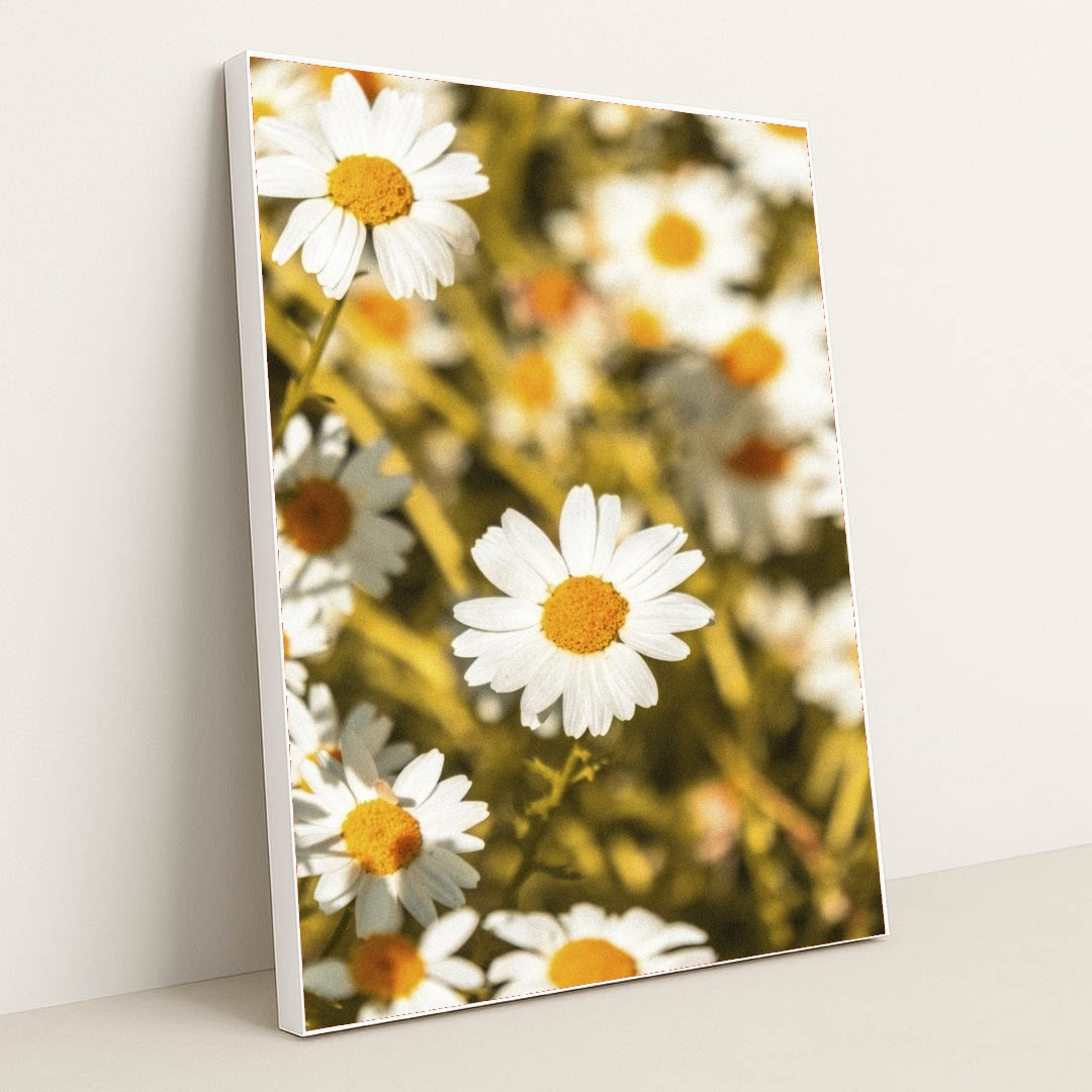 7090234196003 - Product Image