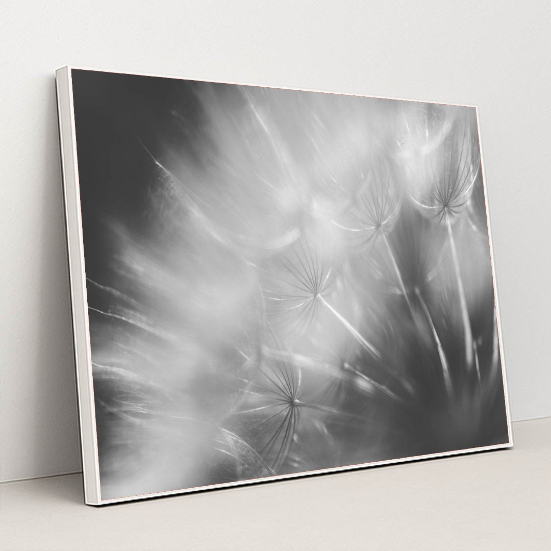 7090245304355 - Product Image