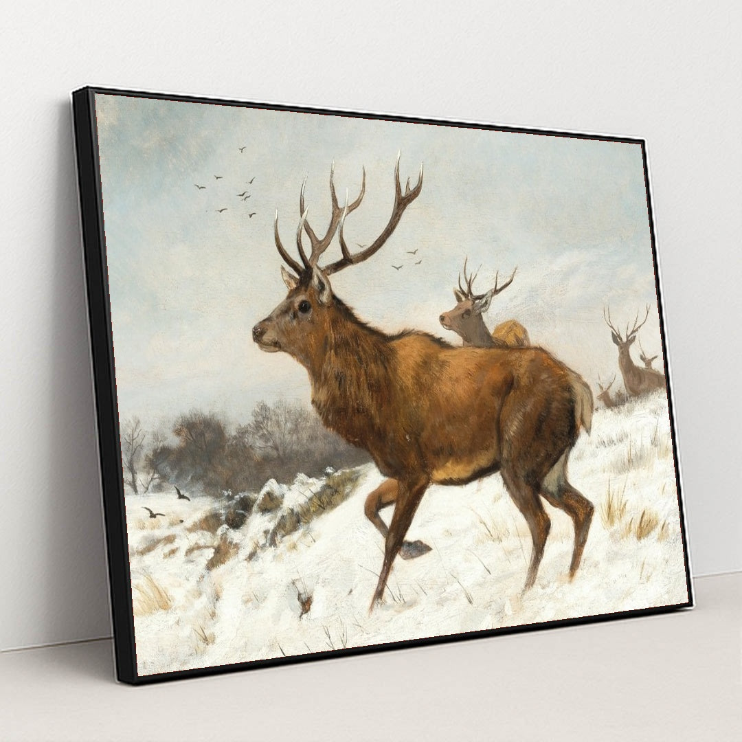 7074625290275 - Product Image