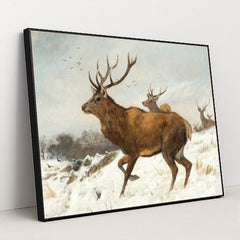 7074625290275 - Product Image