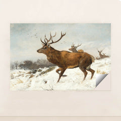 7074625290275 - Product Image