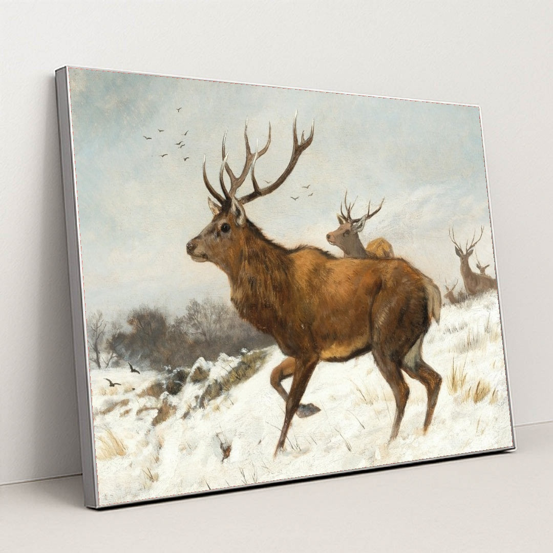 7074625290275 - Product Image