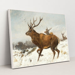 7074625290275 - Product Image