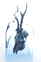 Marek Piwnicki - Abstract blue skull encased in ice, creating a chilling and artistic look.