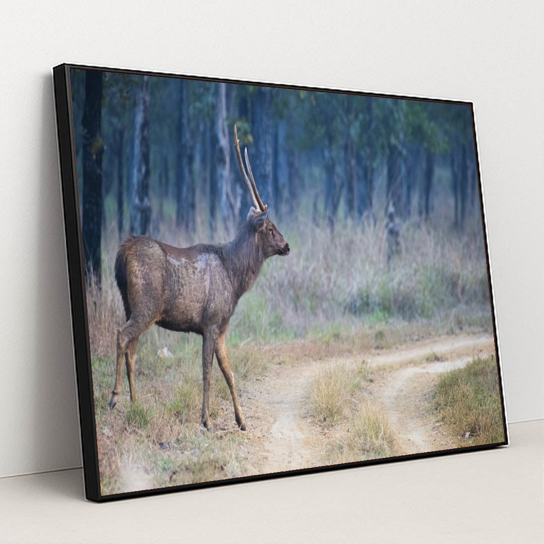 7090292326435 - Product Image