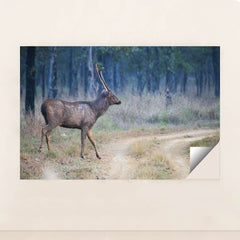 7090292326435 - Product Image