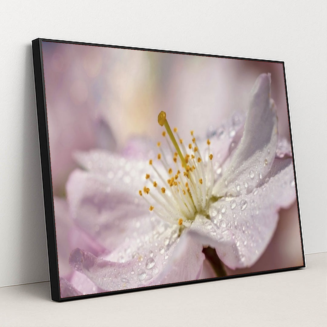 7090285576227 - Product Image